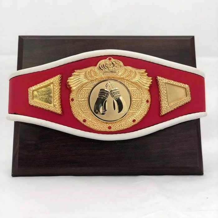 MINI CHAMPIONSHIP BELT MOUNTED ON WOOD - **SPECIAL INTRO PRICE**